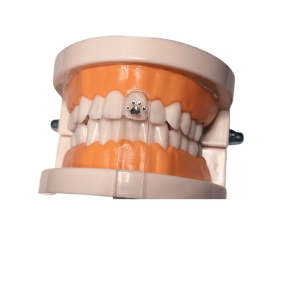 Tooth Gem Sizer Sticks- 5/pack